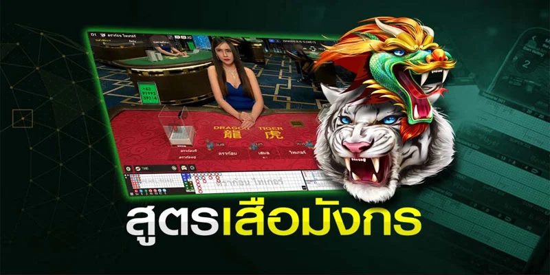 สูตร เสือมังกร ทำเงิน