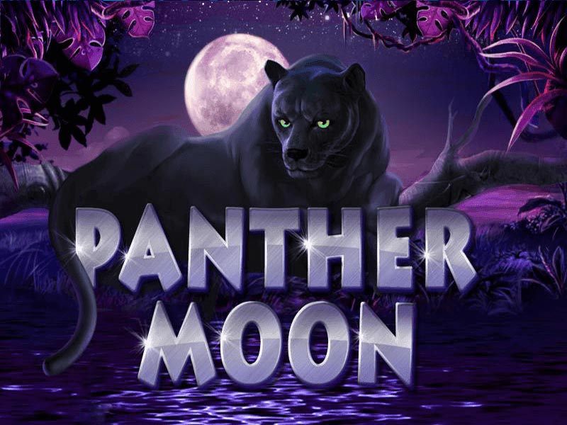 สล็อตเสือดำที่ทุกท่านตามหา เลือกเล่นได้ที่นี่เท่านั้นกับ Panther Moon