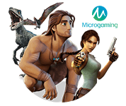 สล็อตออนไลน์ Microgaming