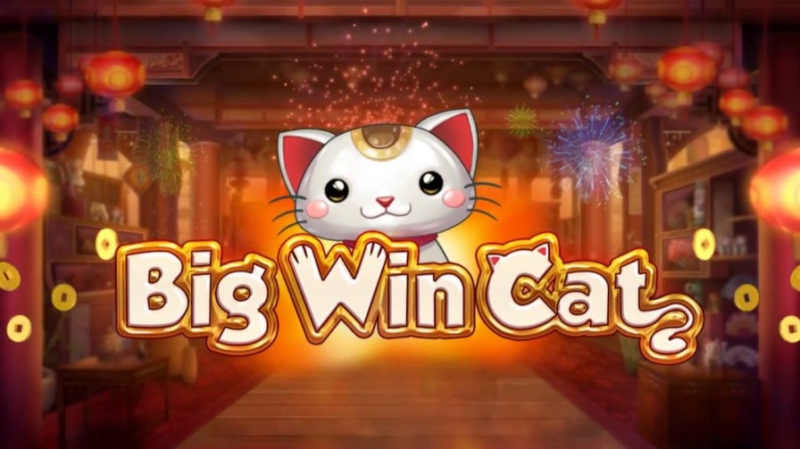 สล็อต big win cat